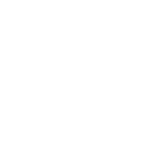 Wellness & Lifestyle